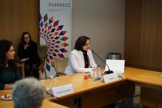 Setkání velvyslanců EU s rumunským prezidentem